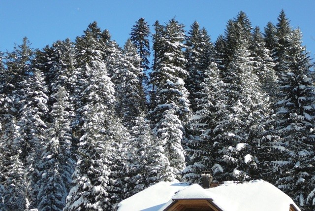 Gorski kotar